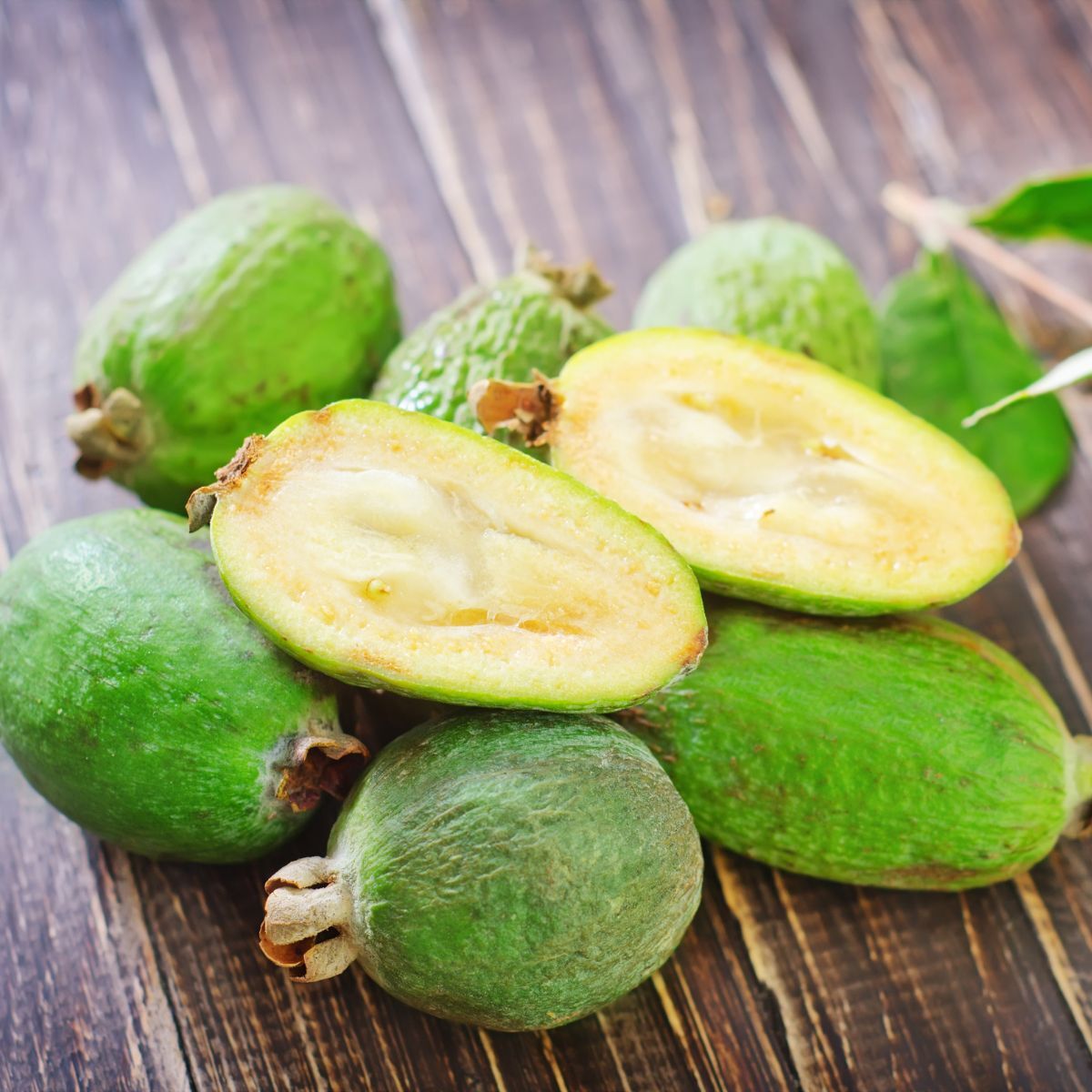 Feijoa